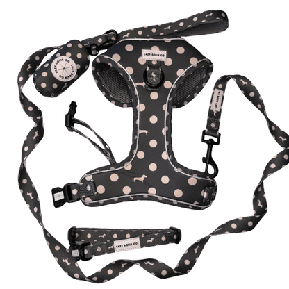 Snag + Go Bundle - Harness Bundle - Lazy Doxie Co
