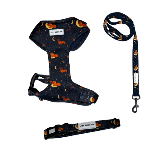 Snag + Go Bundle - Dashtrology - Lazy Doxie Co