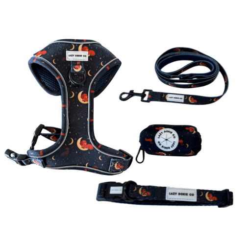 Snag + Go Bundle - Harness Bundle - Lazy Doxie Co