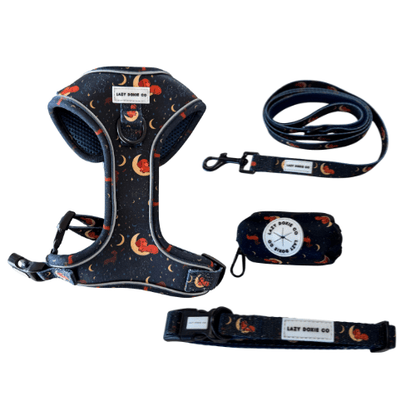 Snag + Go Bundle - Harness Bundle - Lazy Doxie Co
