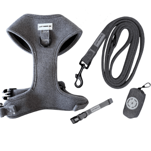 Snag + Go Bundle - Harness Bundle - Lazy Doxie Co