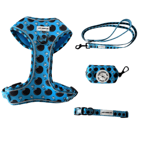 Snag + Go Bundle - Harness Bundle - Lazy Doxie Co