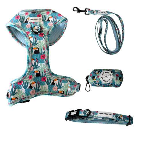 Snag + Go Bundle - Harness Bundle - Lazy Doxie Co