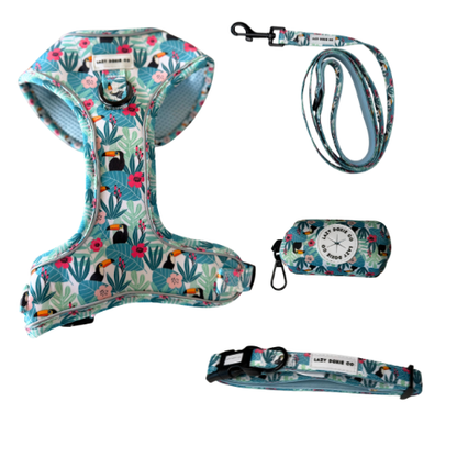 Snag + Go Bundle - Harness Bundle - Lazy Doxie Co