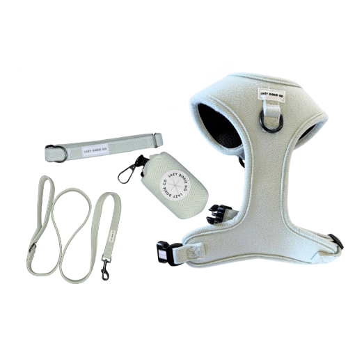 Snag + Go Bundle - Harness Bundle - Lazy Doxie Co