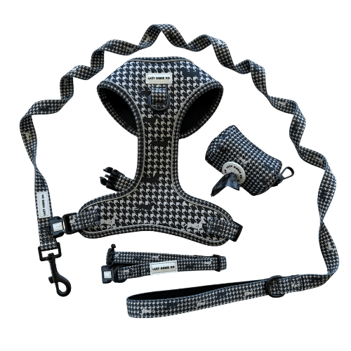Snag + Go Bundle - Harness Bundle - Lazy Doxie Co
