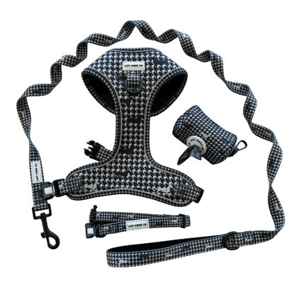 Snag + Go Bundle - Harness Bundle - Lazy Doxie Co
