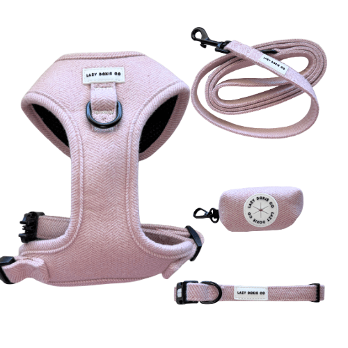 Snag + Go Bundle - Harness Bundle - Lazy Doxie Co