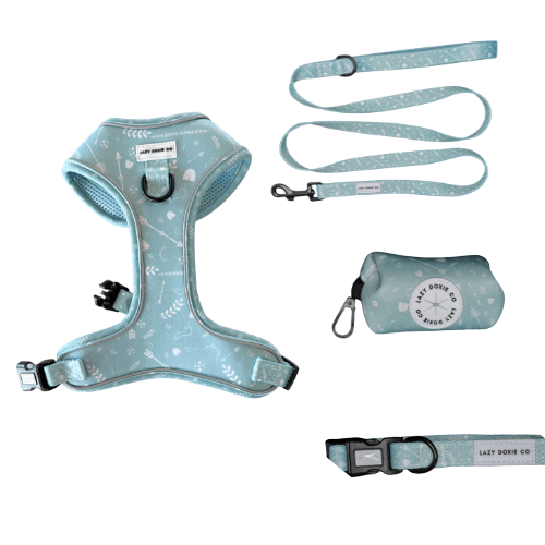 Snag + Go Bundle - Harness Bundle - Lazy Doxie Co