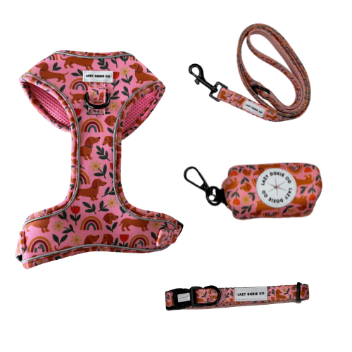 Snag + Go Bundle - Harness Bundle - Lazy Doxie Co