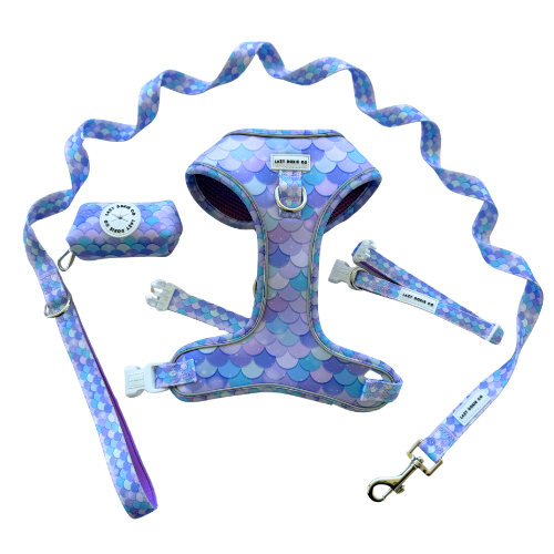 Snag + Go Bundle - Harness Bundle - Lazy Doxie Co