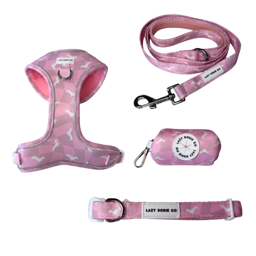 Snag + Go Bundle - Harness Bundle - Lazy Doxie Co