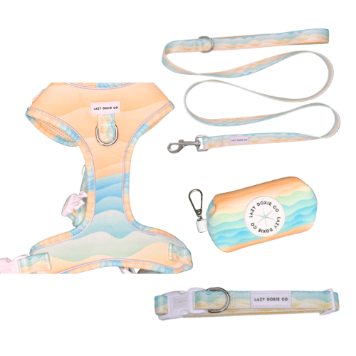 Snag + Go Bundle - Harness Bundle - Lazy Doxie Co