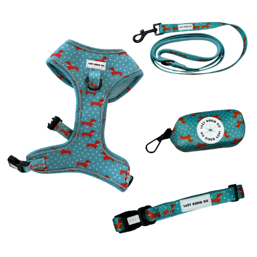 Snag + Go Bundle - Harness Bundle - Lazy Doxie Co