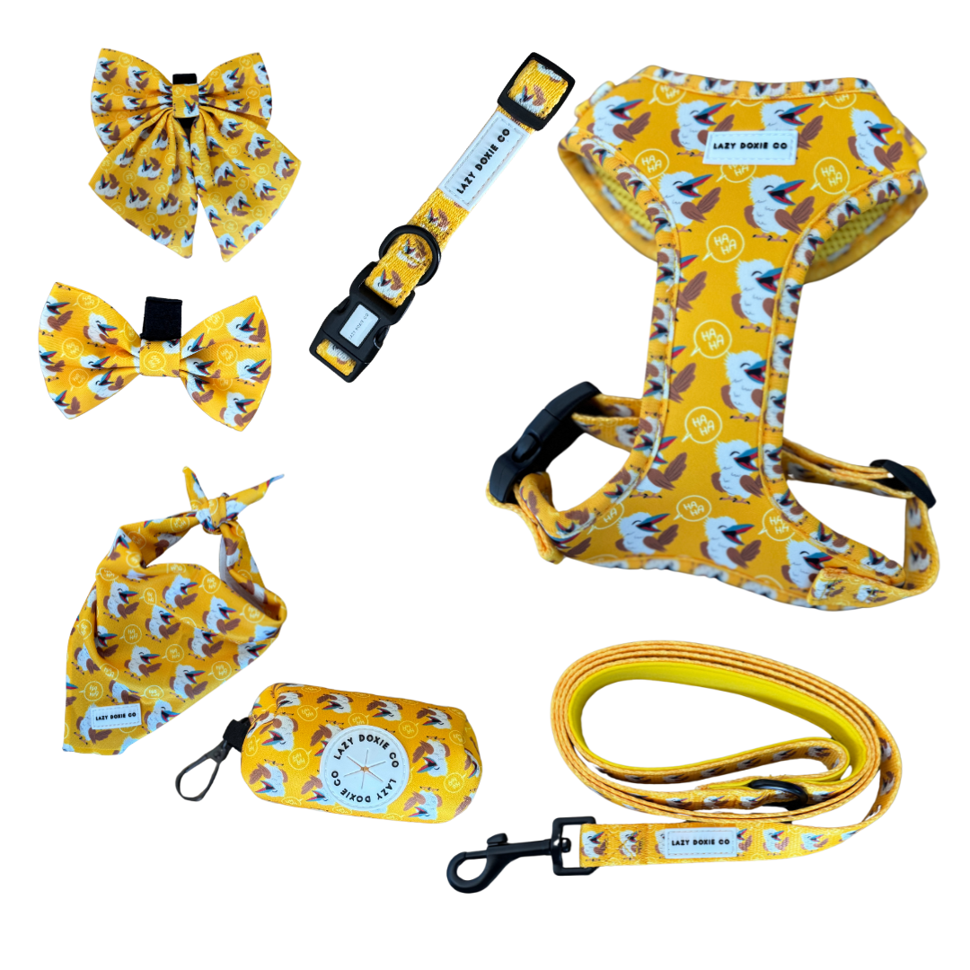 Daily Doxie Bundle - Snagaburra - Lazy Doxie Co