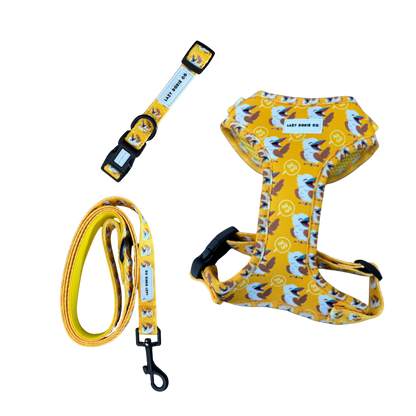 Snag + Go Bundle - Snagaburra - Lazy Doxie Co