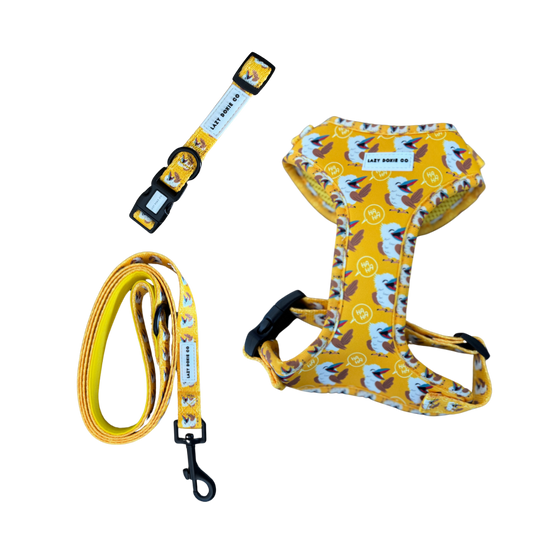 Snag + Go Bundle - Snagaburra - Lazy Doxie Co