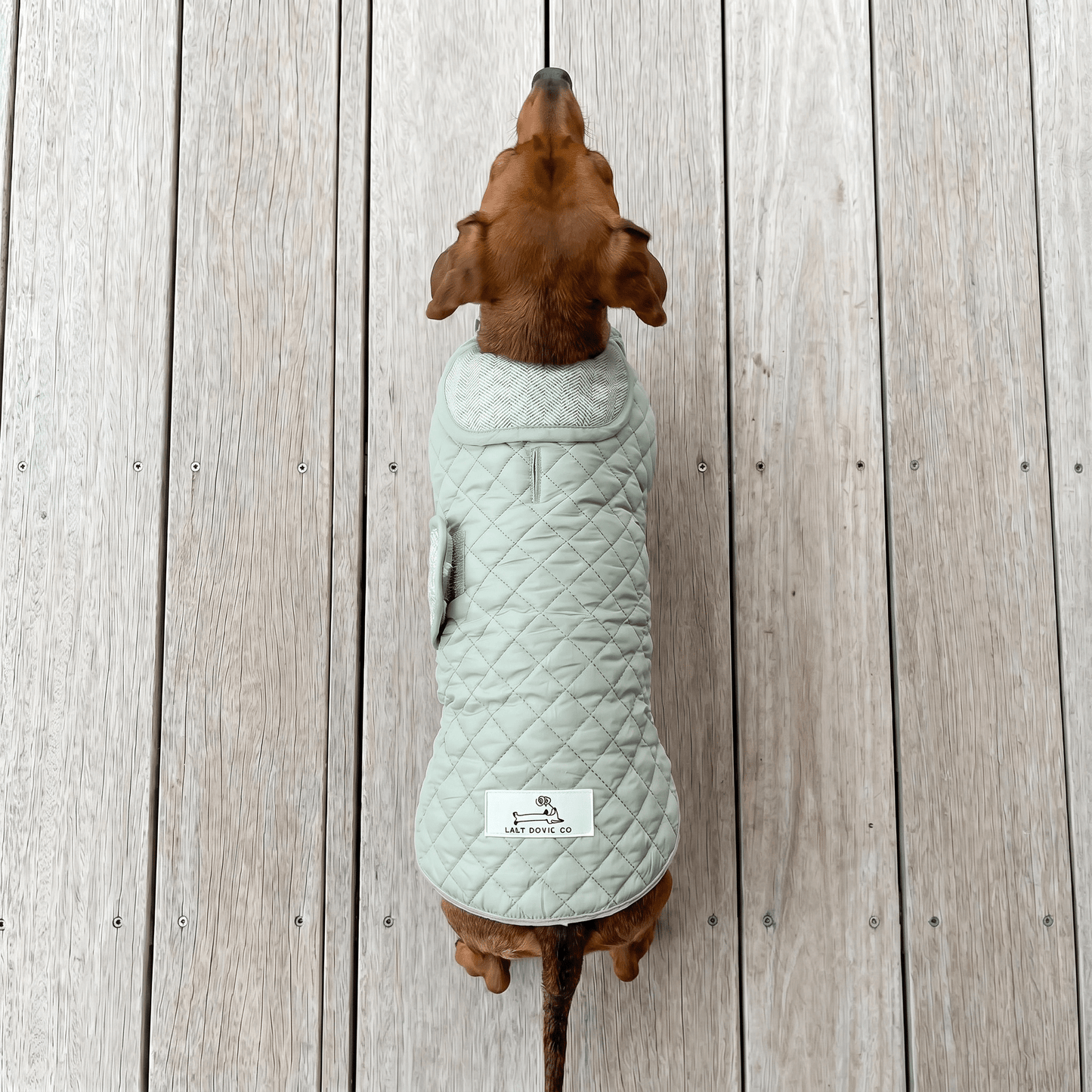 Dachshund Quilted Fleece Jackets - Lazy Doxie Co
