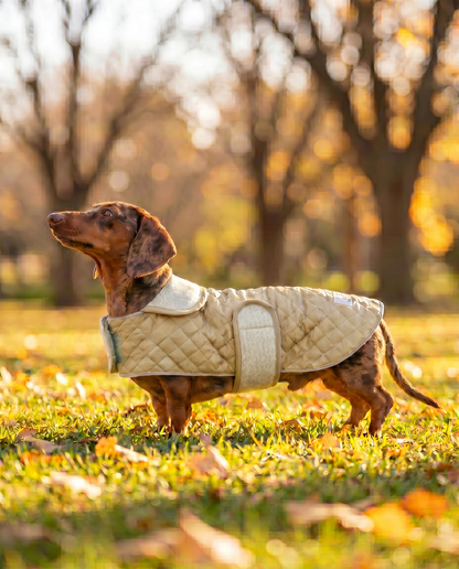 Dachshund Quilted Fleece Jackets - Lazy Doxie Co