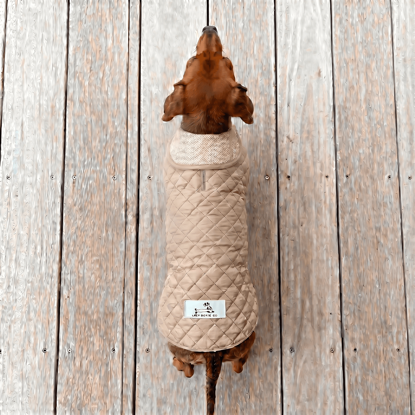 Dachshund Quilted Fleece Jackets - Lazy Doxie Co