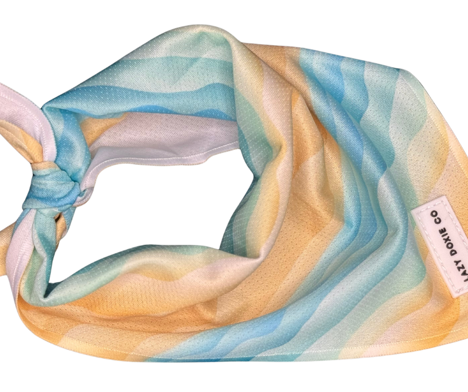Daily Doxie Bundle - Surf's Pup
