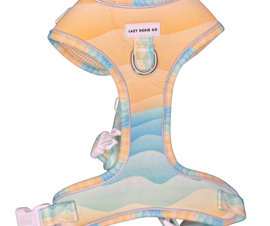 Daily Doxie Bundle - Surf's Pup