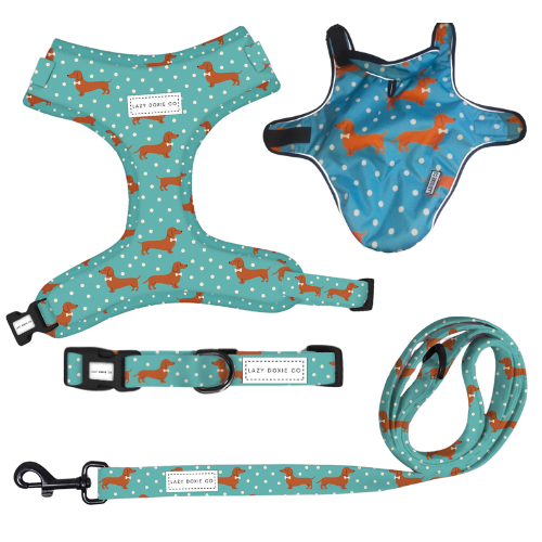 Winter Walkies Bundle - Tuxie Doxie