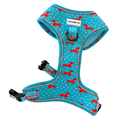 Snag + Go Bundle - Harness Bundle - Lazy Doxie Co