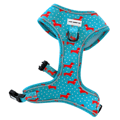 Snag + Go Bundle - Harness Bundle - Lazy Doxie Co