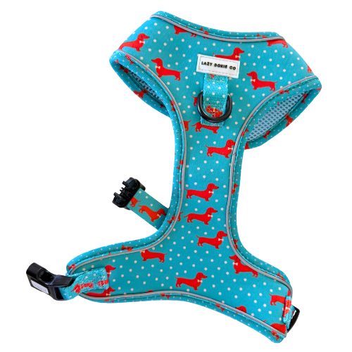 Daily Doxie Bundle - Over-Head Harness + Sailor Bow