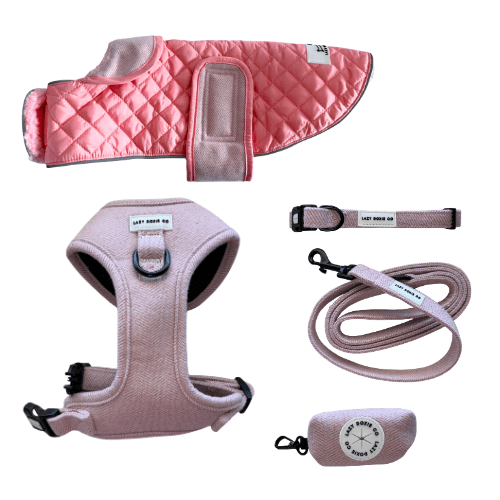 Tweed Winter Walkies Bundle - Lazy Doxie Co