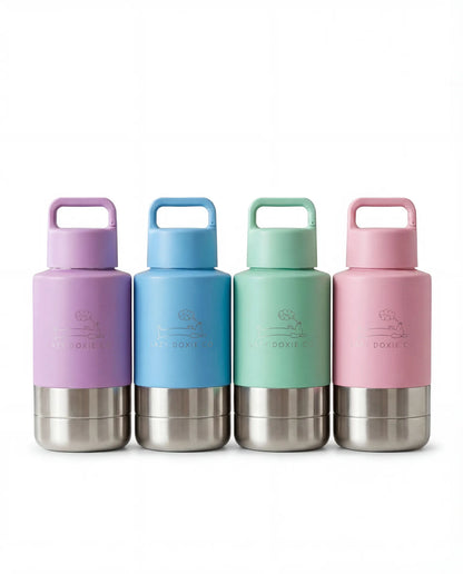 1ltr Water Bottles with Dual Bowls - Lazy Doxie Co