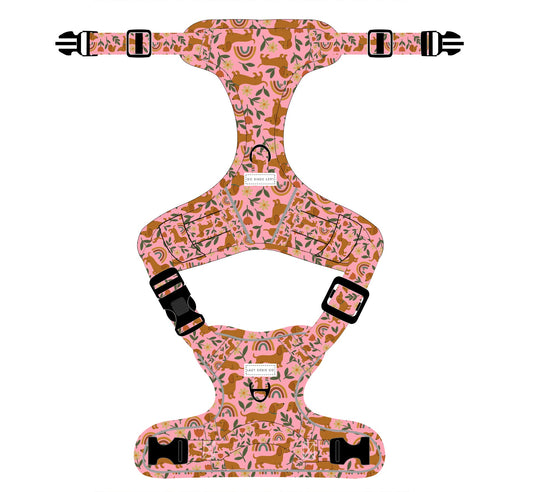 Dachshund Harness - 'Step-In' COMING SOON