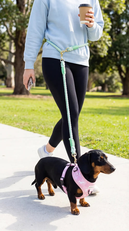 Hands - Free Rope Leashes - Lazy Doxie Co