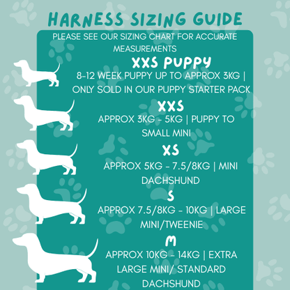 Dachshund Harness - Lazy Doxie Co