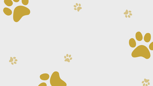 Waterless Paw Cleaner – Foam Shampoo