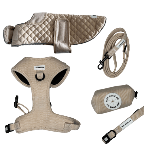 Tweed Winter Walkies Bundle - Lazy Doxie Co