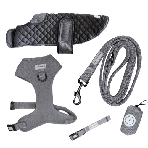 Tweed Winter Walkies Bundle - Lazy Doxie Co