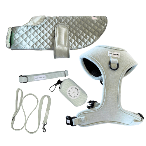 Tweed Winter Walkies Bundle - Lazy Doxie Co