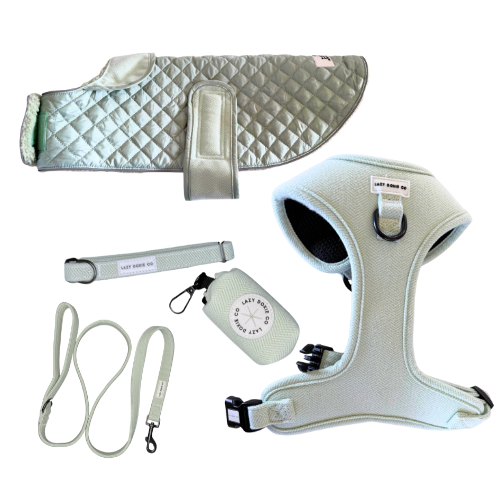 Tweed Winter Walkies Bundle